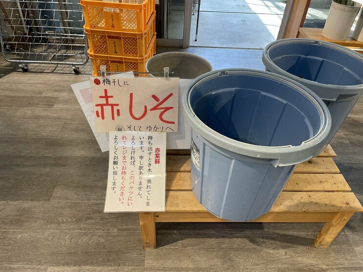「弱い者いじめだと感じました」漬物生産者の70％以上が廃業に…千葉県の道の駅、農産物直売所から聞こえたさみしい声「また一つ大切な物がこの国からなくなりました」_22