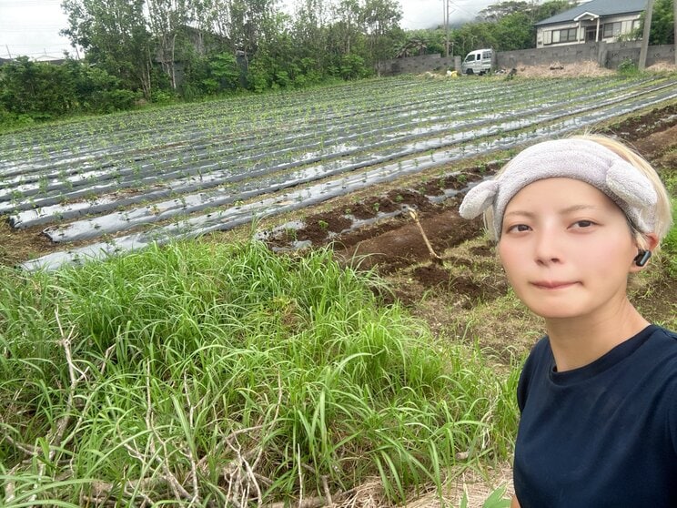 松岡さんが借りている島唐辛子農園のひとつ（写真／本人Xより）