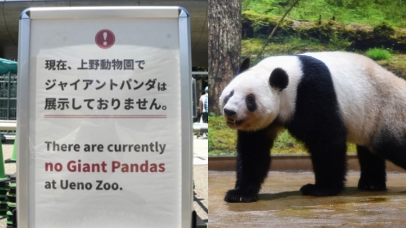 パンダ不在で入園者18.7％減〉「ゼロパンダ」から半年…上野動物園で