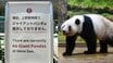 〈パンダ不在で入園者18.7％減〉「ゼロパンダ」から半年…上野動物園で起きた異変と“喪失感”の正体