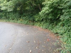 現場となった「大山環状道路」沿い（写真／自然公園財団提供）