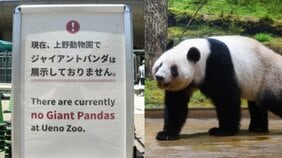 〈パンダ不在で入園者18.7％減〉「ゼロパンダ」から半年…上野動物園で起きた異変と“喪失感”の正体