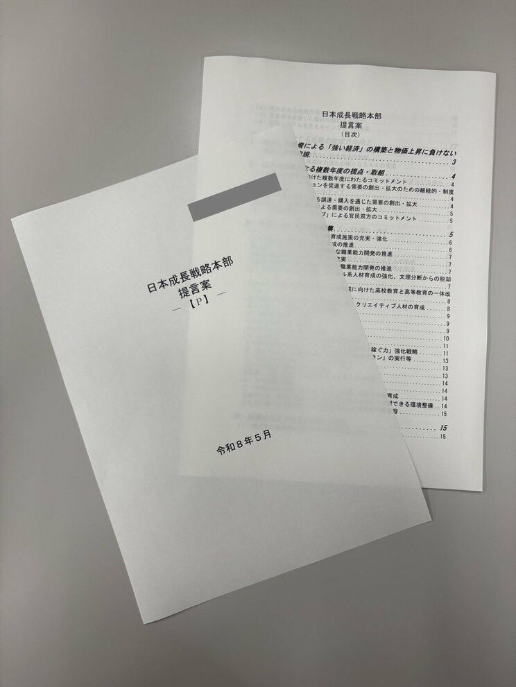 計24枚にも及ぶ提言案