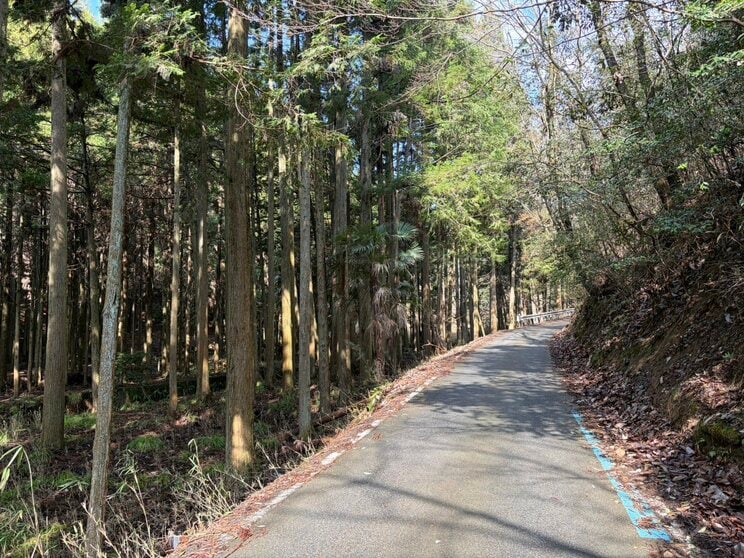 ランリュックが見つかった山道（撮影／集英社オンライン）