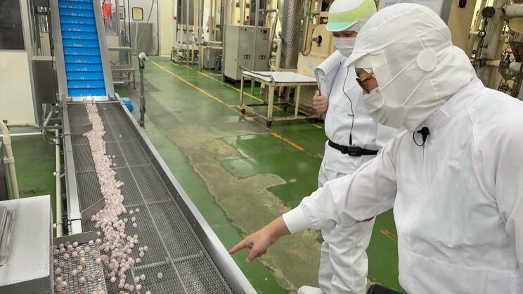 出来立ての生梅飴が流れるレーン