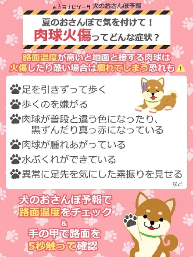 肉球やけどの症状のチェックポイント（出典：「犬のおさんぽ予報」公式ホームページ）