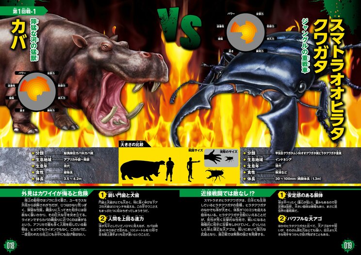 カバとクワガタが戦ったら…結果は次の画像に！（写真提供／Gakken）