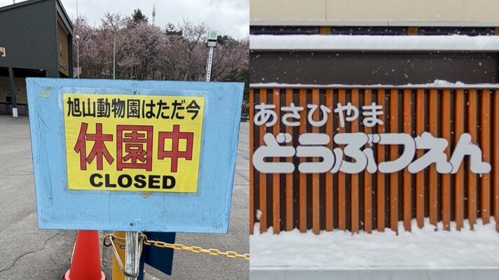 ≪旭山動物園≫「なんてことをしてくれたんだ」「旭川のイメージがまた…」地元は悲鳴、動物園は5月1日に再開できるのか？「職員がベラベラしゃべっても…」立ちはだかる捜査の壁