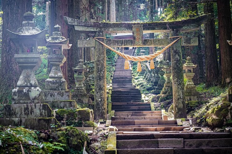 神社に「呼ばれている人」「拒まれている人」に起こること——雨、風、動物が伝える相性のサイン_2
