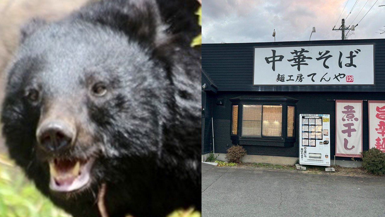 青森・クマがラーメン店襲撃〉「笑えないです」ボコボコにしてクマを