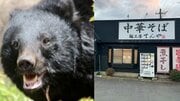 〈青森・クマがラーメン店襲撃〉「笑えないです」ボコボコにしてクマを返り討ち“レジェンド”と賞賛された男性はまぶたが腫れあがり骨折「補助金なし」で休業せざるえないオーナーの慟哭