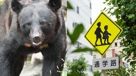 「子どもの送迎が負担」「職場の早退がつらい」クマ出没多発で保護者にのしかかる“学校送迎問題”「これ続くとめっちゃストレスだな」秋田県の対応は