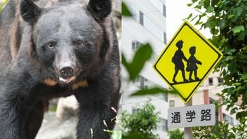 「子どもの送迎が負担」「職場の早退がつらい」クマ出没多発で保護者にのしかかる“学校送迎問題”「これ続くとめっちゃストレスだな」秋田県の対応は