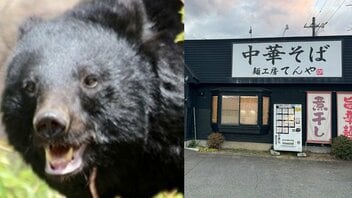 〈青森・クマがラーメン店襲撃〉「笑えないです」ボコボコにしてクマを返り討ち“レジェンド”と賞賛された男性はまぶたが腫れあがり骨折「補助金なし」で休業せざるえないオーナーの慟哭