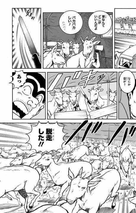 【こち亀】ブラック労働を強いられたヤギたちが反旗を翻したまさかの作戦 「その草を食べるな! 観賞用だから!」_13