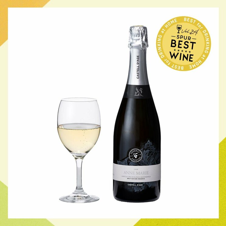 【￥2,000台スパークリングワイン】夏の昼下がりに飲みたい！ナチュラルな造り手のスパークリング【うち飲み向上委員会vol.24】_5