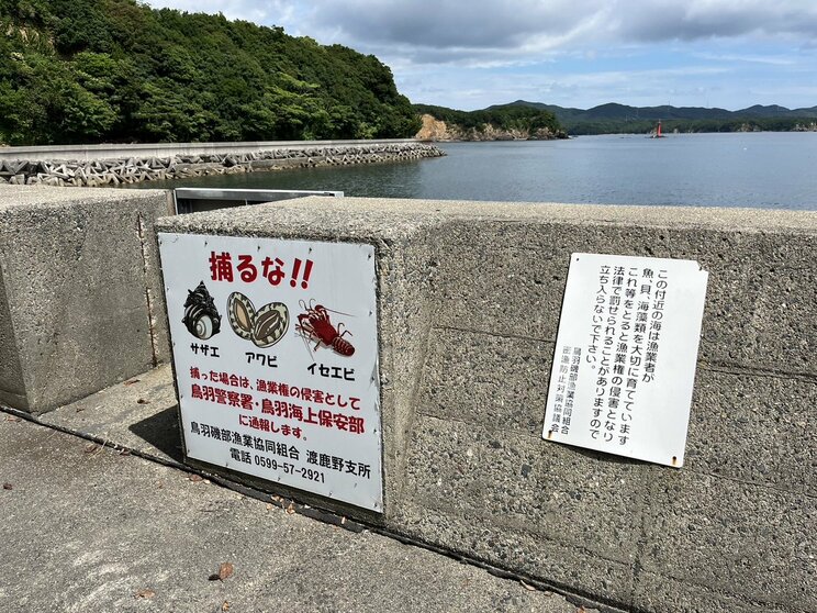 〈売春島と呼ばれた島①〉「ブローカーに売り飛ばされた女性がいた」「真夜中に海に飛び込んで逃げる少女もいた」かつては“ピンク島”“小さな歌舞伎町”といわれた島は今どうなっているのか？ 現地に行ってみた_17