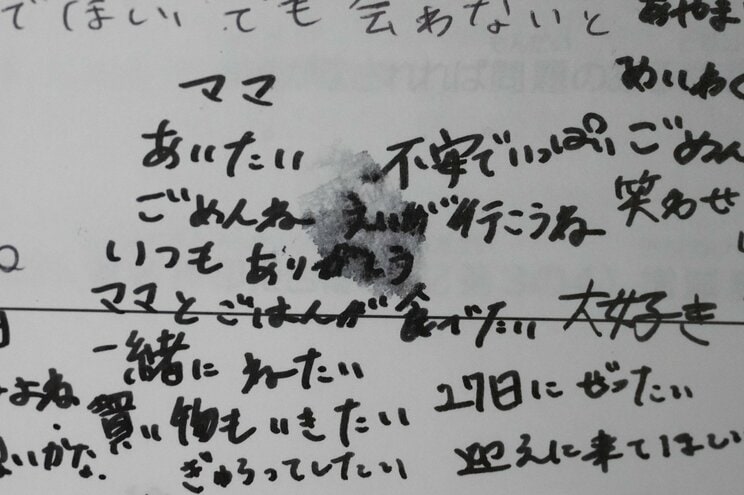 「釈放時にはもう厳しかった」18日間勾留され体重27.7キロに…不起訴となった16歳女性はなぜ亡くなったのか　遺族が訴える兵庫県警の違法捜査_16
