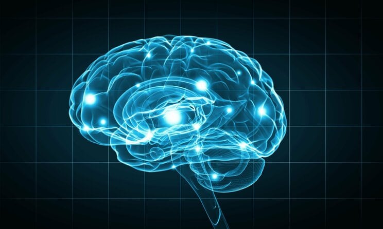 脳が体からの信号を読み間違え“意図的に疲れた状態”をつくり出してしまう「慢性神経炎症」のメカニズムとは？_1