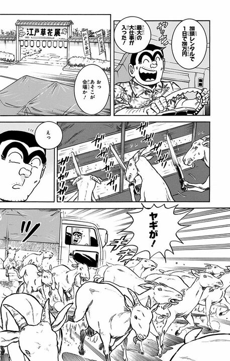 【こち亀】ブラック労働を強いられたヤギたちが反旗を翻したまさかの作戦 「その草を食べるな! 観賞用だから!」_12