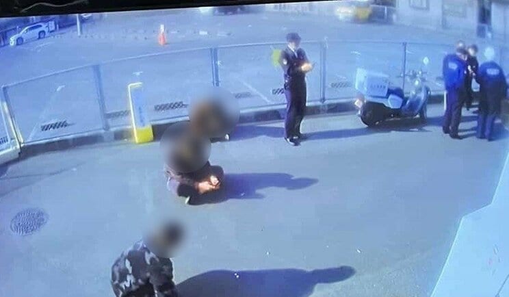 （写真／関係者提供）