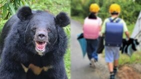 通学路に潜む影、コロナ禍の次は“クマ禍”か――全国の学校で広がる“屋外禁止令”