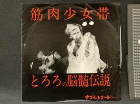 再注目の機運高まる1980年代邦楽インディーズの世界を知りたかったら、この10作を聴け!