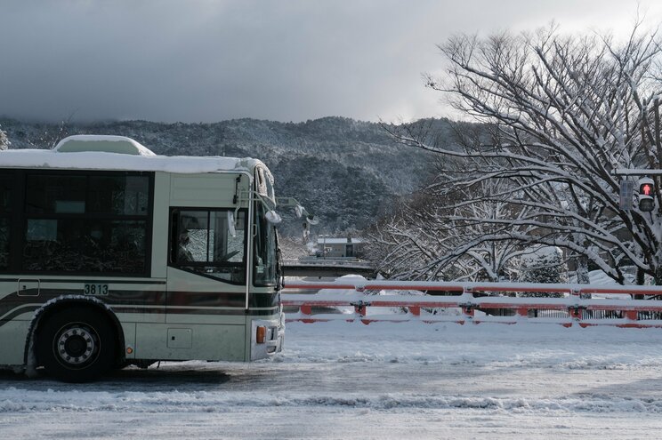 〈大寒波襲来・写真多数〉電車はストップ・渋滞40キロ・タクシー大行列・立ち往生、それでも開いていた牛丼屋に安堵…豪雪の京都ルポ「完全に大雪をなめていました」_45