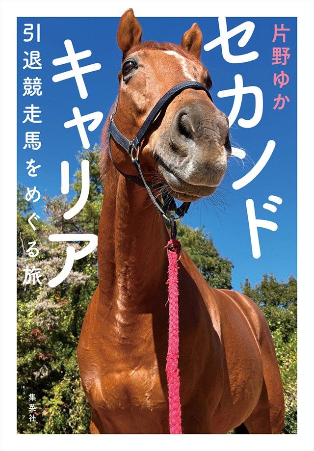 “馬の世界を旅して実感した「社会は変えられる」”『セカンドキャリア　引退競走馬をめぐる旅』片野ゆかインタビュー_5