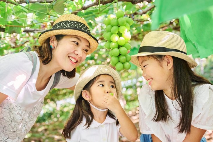 マスカットを食べる小さな子ども（画像はイメージです／Shutterstock）