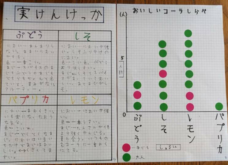 伊藤さんの自由研究ノート（写真提供／伊藤さん母）