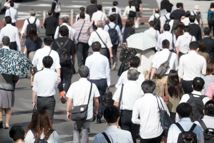 （写真/ Shutterstock）