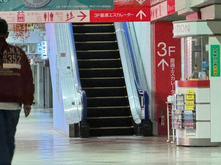（写真／読者提供）