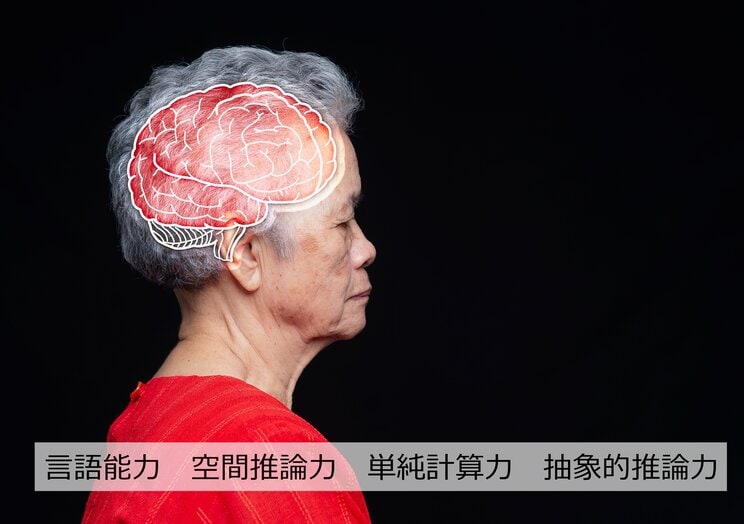 「年をとって記憶力が落ちても心配しなくていい」「年齢を重ねてこそ高まる脳の能力もある」と脳科学者・茂木健一郎が断言する根拠 _4