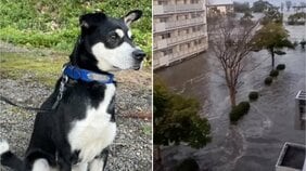 「水道水は不衛生だから受け取れない?」「大型犬は入れない」混乱の避難所で試される各々の判断。「水道が通らなければ学校は再開しないそう。夜はスマホでSNS見てます」と学校で生活する中学生〈ルポ能登半島地震・珠洲市〉