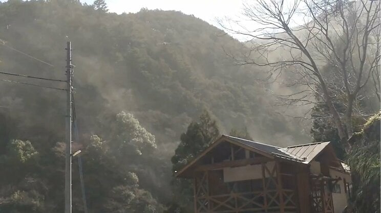 山から噴き出す花粉（郷土芸能団体「奥多摩川野車人形保存会」提供）