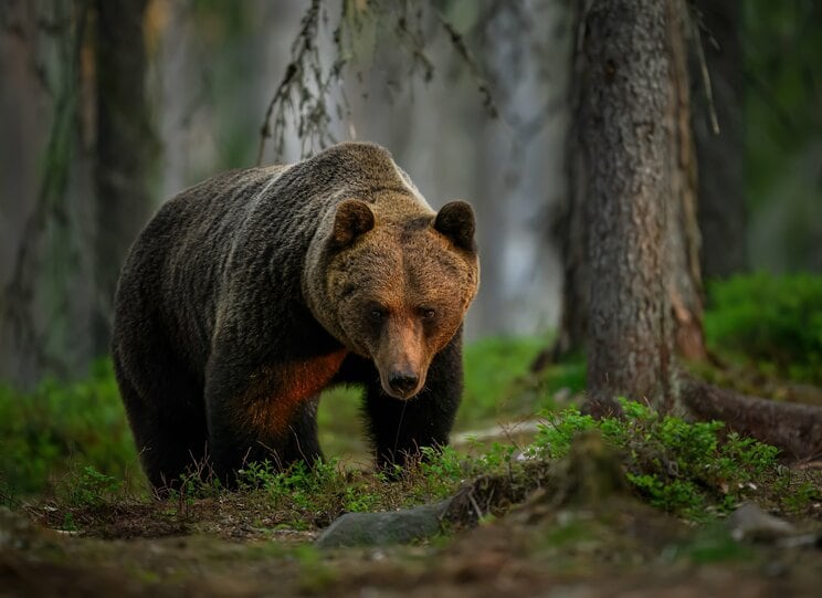 画像はイメージです