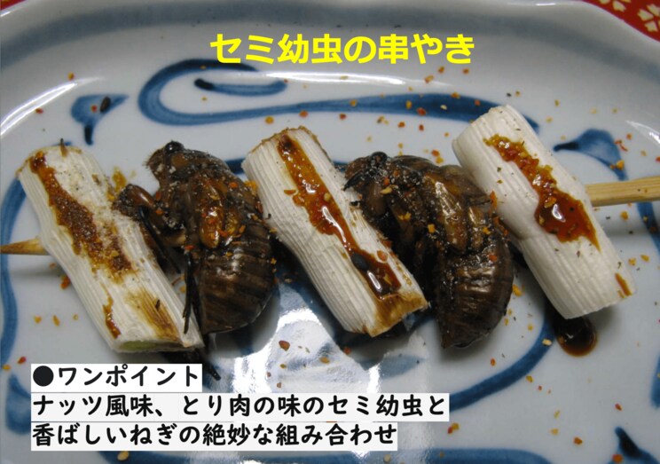 昆虫料理研究家の内山氏が作った昆虫食「セミ幼虫の串やき」