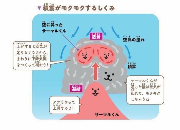 積乱雲が発生しやすい曜日とは？ 　面白すぎる雲のはなし_1