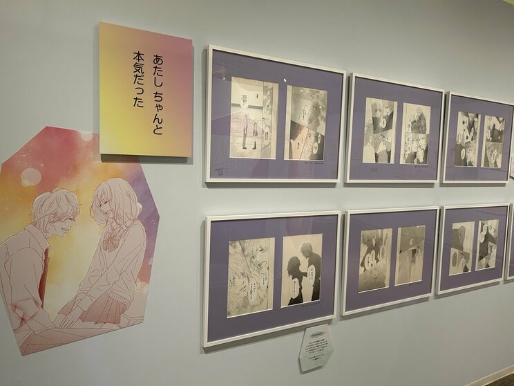 【君に届け展レポ】300点以上の直筆原画や創作資料から振り返る、爽子とみんなが歩んだ11年。人を「すき」になることが教えてくれるたくさんのこと_17