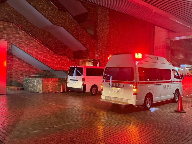 （撮影／集英社オンライン）