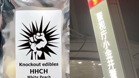 大麻グミを食べた若者が告白「コーラ味を食べたら最初は効かず、追加して2時間後に吐き気や動悸が…」専門家は「危険ドラッグと同じ流れ」と警鐘。製造元は「炎上はチャンス」と呆れた反応だったが…