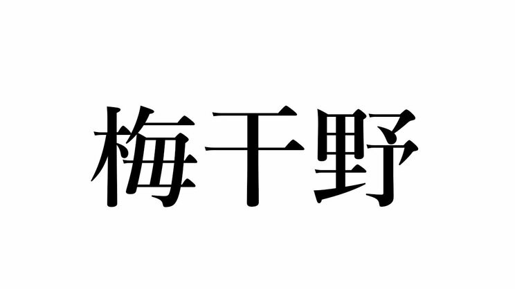 三浦という苗字の起源は鎌倉から。『鎌倉殿の13人』の舞台・神奈川県の難読名字クイズ_6
