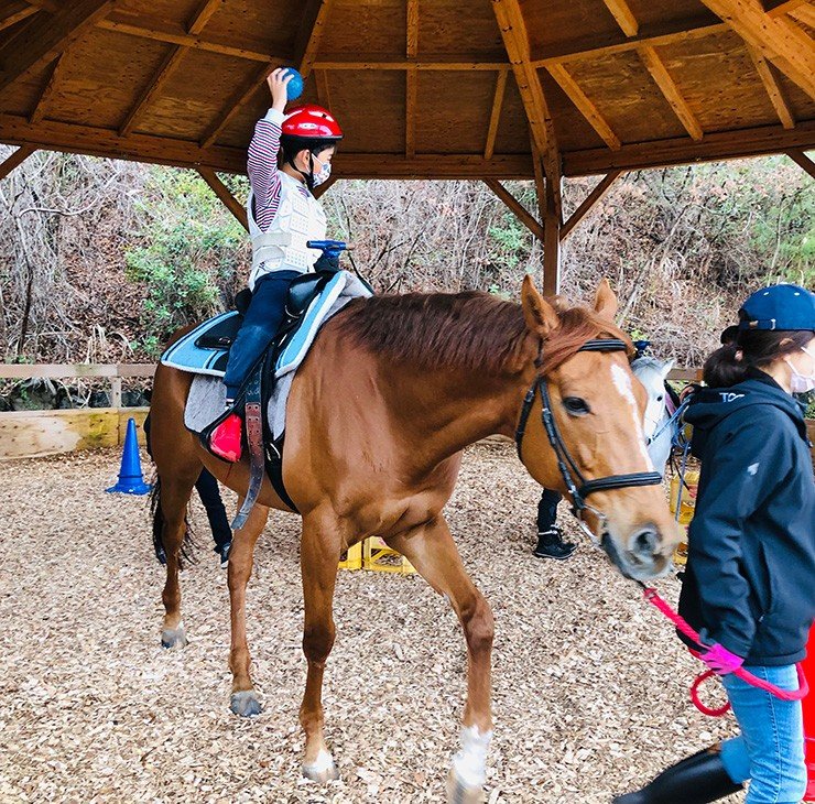 “馬の世界を旅して実感した「社会は変えられる」”『セカンドキャリア　引退競走馬をめぐる旅』片野ゆかインタビュー_3