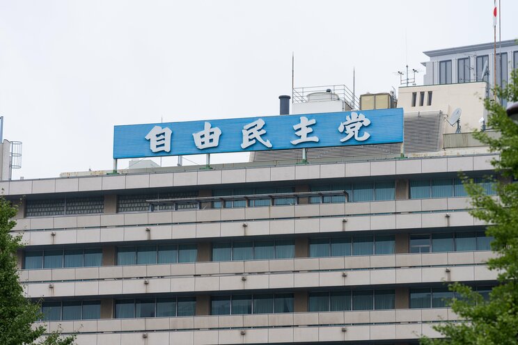 SNSでは自由民主党を叩く動画も（写真／shutterstock）