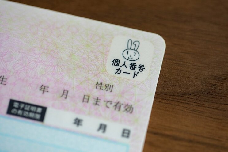 マイナンバーカード　写真／shutterstock