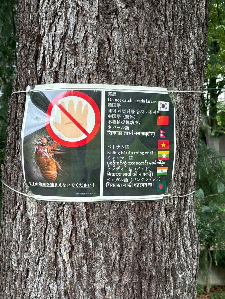 戸山公園の張り紙（撮影／集英社オンライン）