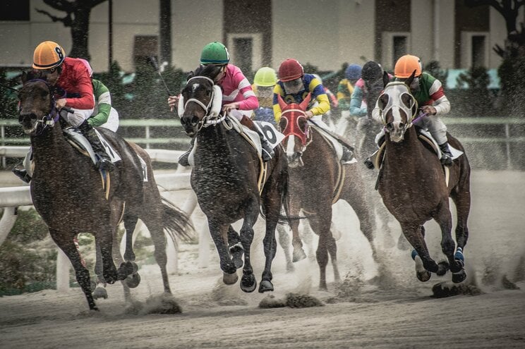 実は“おいしい”海外競馬、勝てるチャンスがでかくなる現地と日本のオッズ差のからくりとは？「舐められている外国馬」を見つけて、目指せ爆勝ち！_3