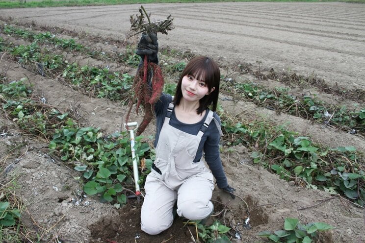 「さつまいも農家タレント」の上西萌々（撮影／千駄木雄大）