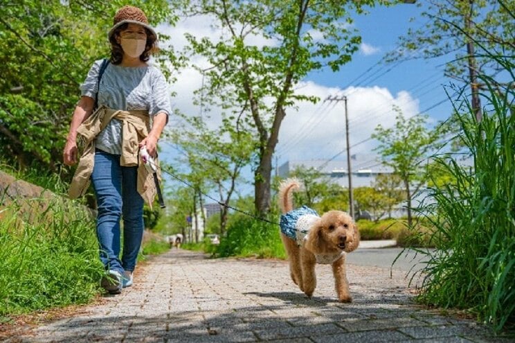 写真はイメージです（PhotoAC）